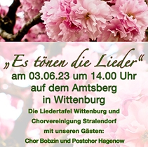 Website02